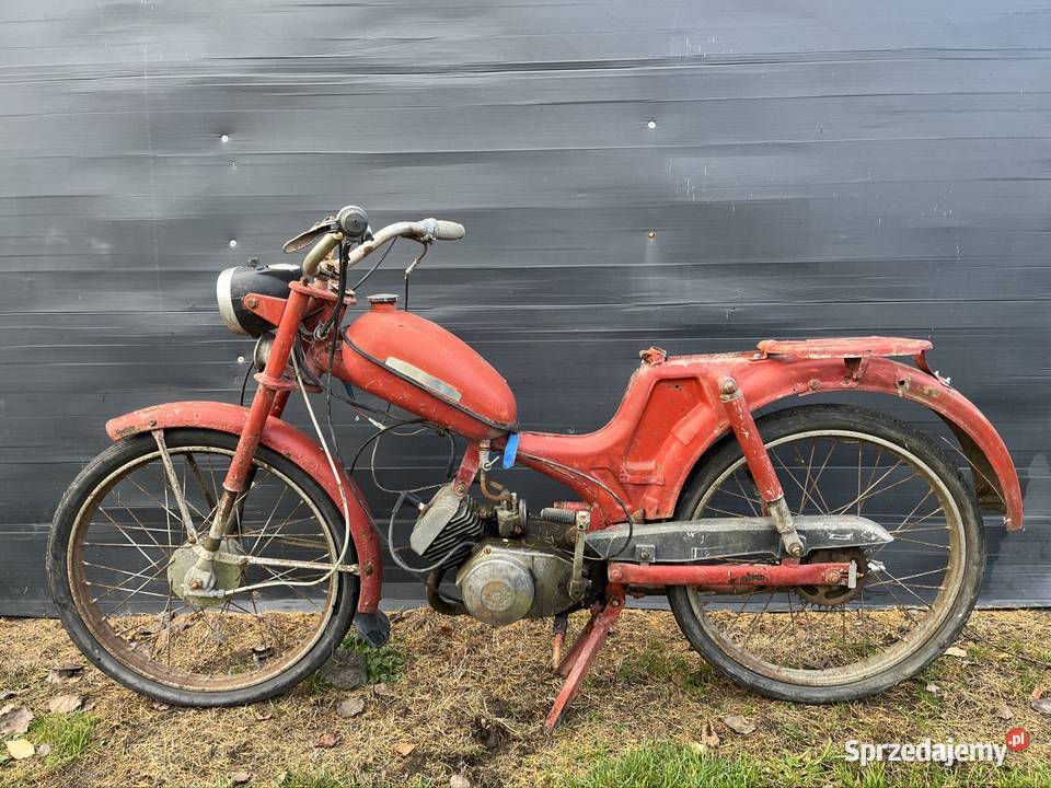 Komar 2352W Kłobuck