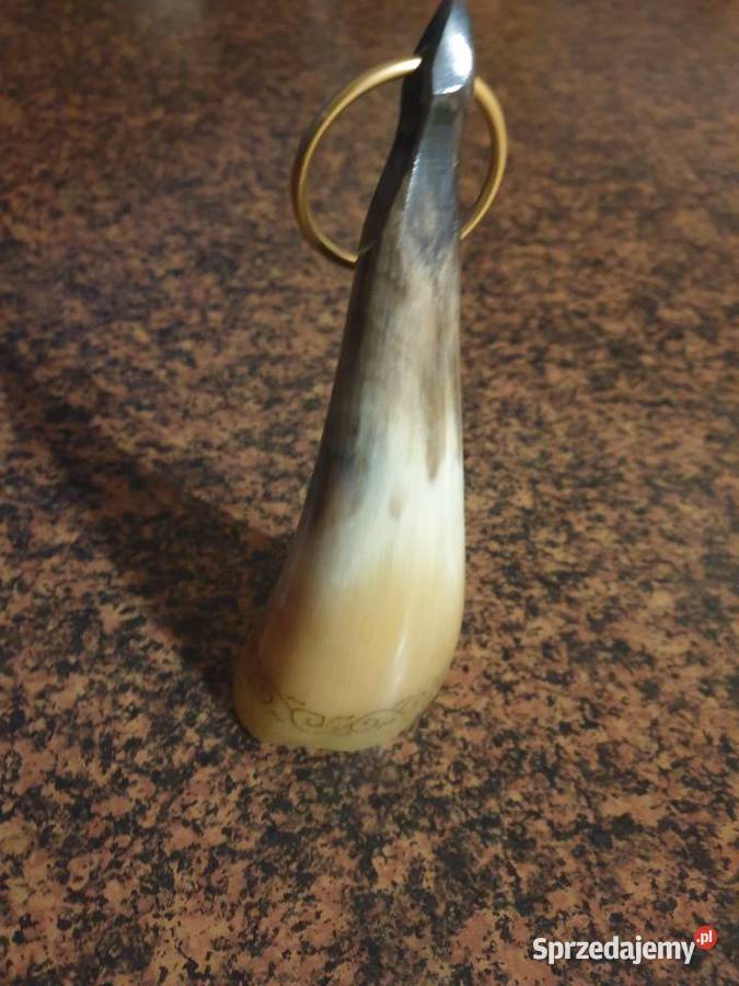 Ozdobny róg myśliwski Radom