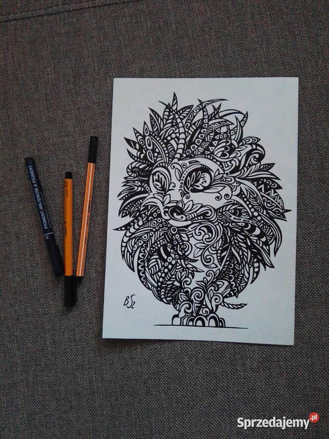 Rysunek jeż 3 cienkopis A4 250gm2 Warszawa sprzedam