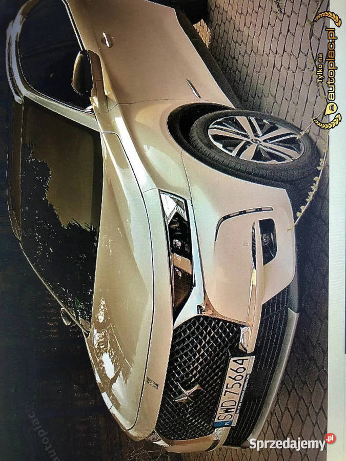 DS 7 Crossback 16 DS7 RIVOLI 225 Bogate Rogów