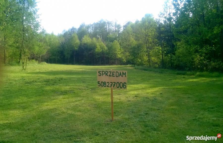 Piękna działka we wsi Kosyń gmina Wola Uhruska