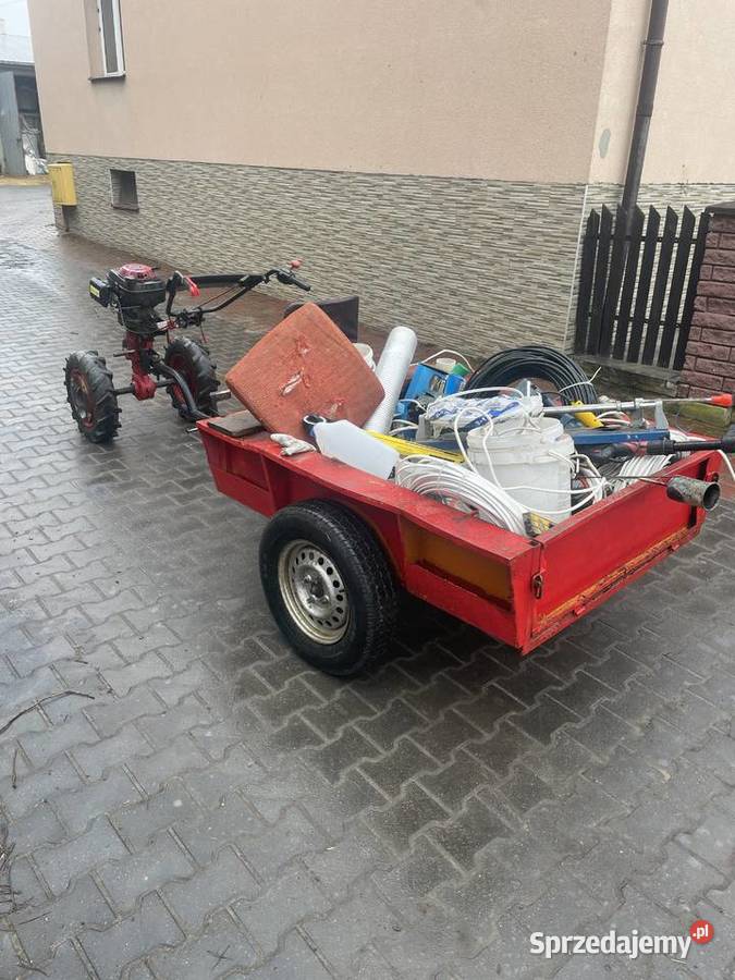 Terra vari dzik Honda traktor jednoosiowy Jedlińsk