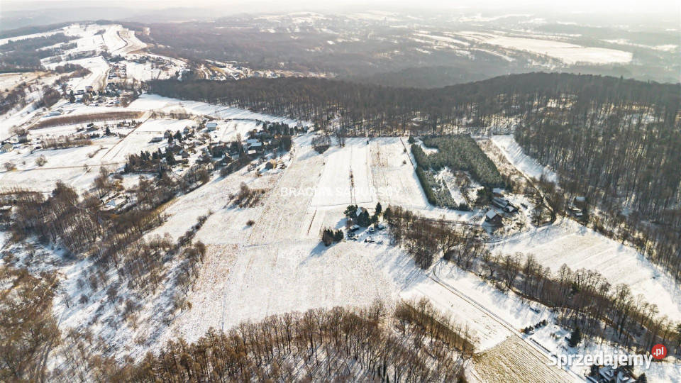 Grunt 22110m2 Płaza Podlas