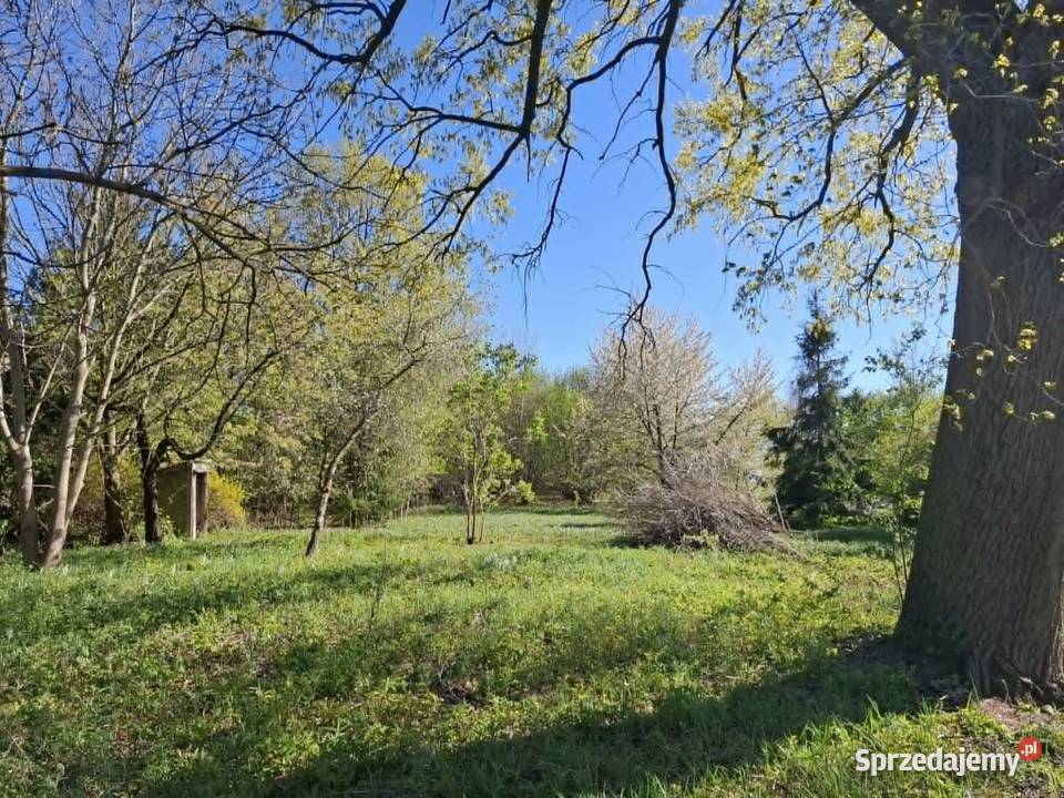 Sprzedam dom jednorodzinny z działką siedliskową 80m2 Sprzedaż Rębowo