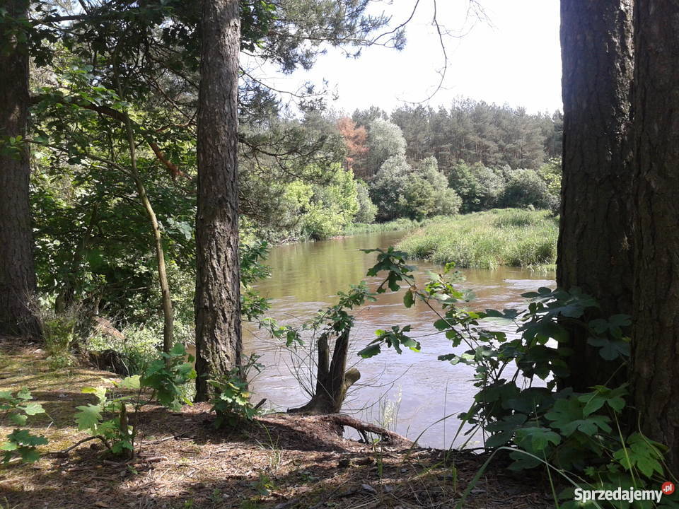 DOMEK REKREACYJNY Ryczywół k Kozienic tanio