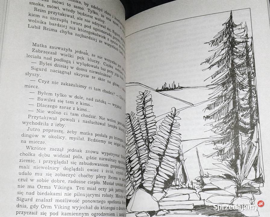 Sigurd syn wikinga Torill Thorstad Hauger Chełm