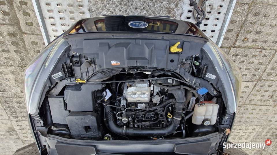 Ford Focus 10Benzyna125 Zadbany
Bogato wspomaganie kierownicy