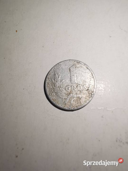 1 grosz z 1949 roku sprzedam