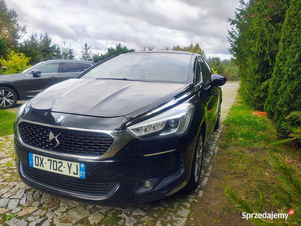 DS5 Płońsk