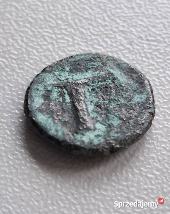 Moneta antyczna Grecja Aeolis Kyme 350250 BC 2 Wejherowo