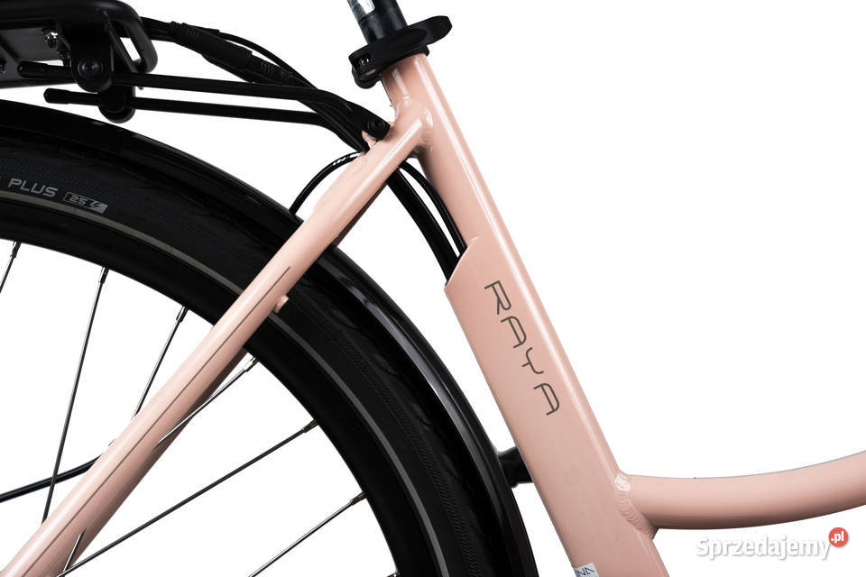 Rower elektryczny NEON Bikes Raya ACTIVE ZONE świętokrzyskie Ostrowiec Świętokrzyski