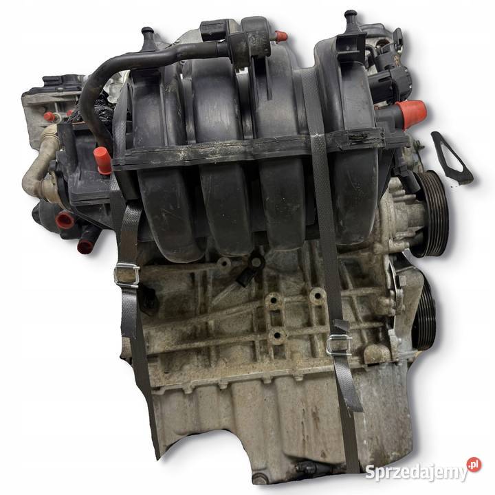 SILNIK BLF Audi A3 II 8P Skoda Octavia II 16 FSI Chełm sprzedam