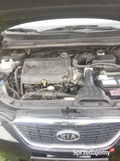 Kia Carens 16 CRDI 2011 Rok produkcji 2011 Carens Września
