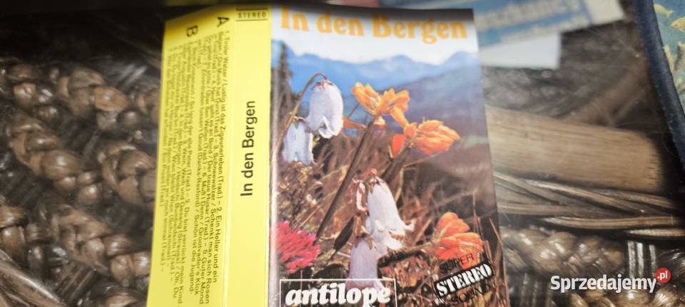 Impreza wiejskaw górach kasety x2die landpartie śląskie Gliwice sprzedam