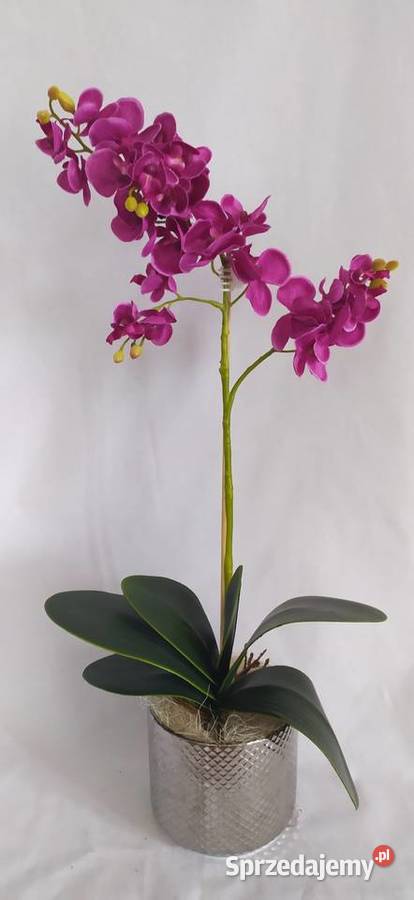 Storczyk sztuczny kompozycja kwiatowa podkarpackie Sędziszów Małopolski