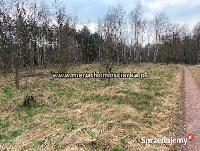 Sprzedam działka 10182m2 Wodzisław Śląski