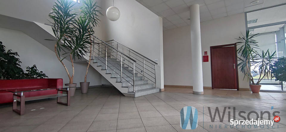 Lokal 3041m2 Czosnów Sprzedaż