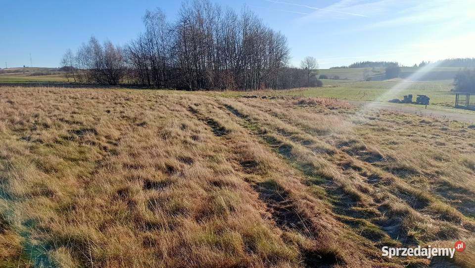 Działka budowlana Rząsiny widok na góry