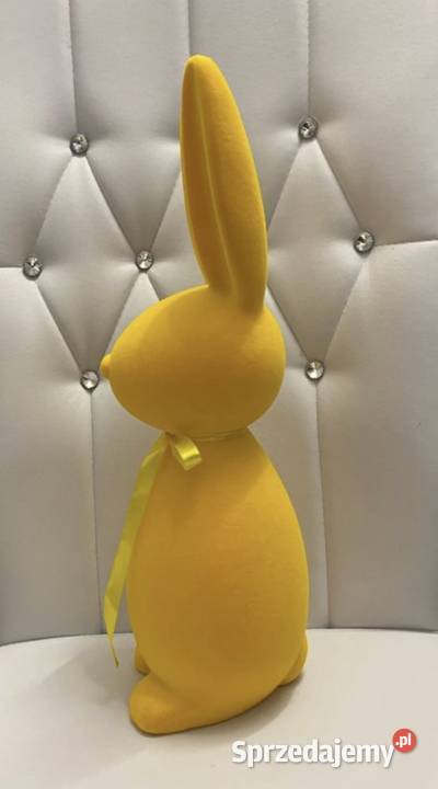 Zając welurowy sprzedam