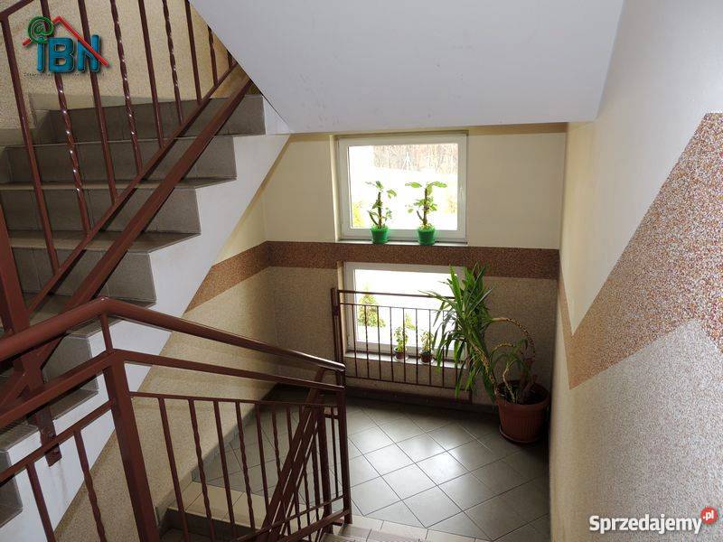 3 pokojowe mieszkanie Gdynia Obluze parter pomorskie