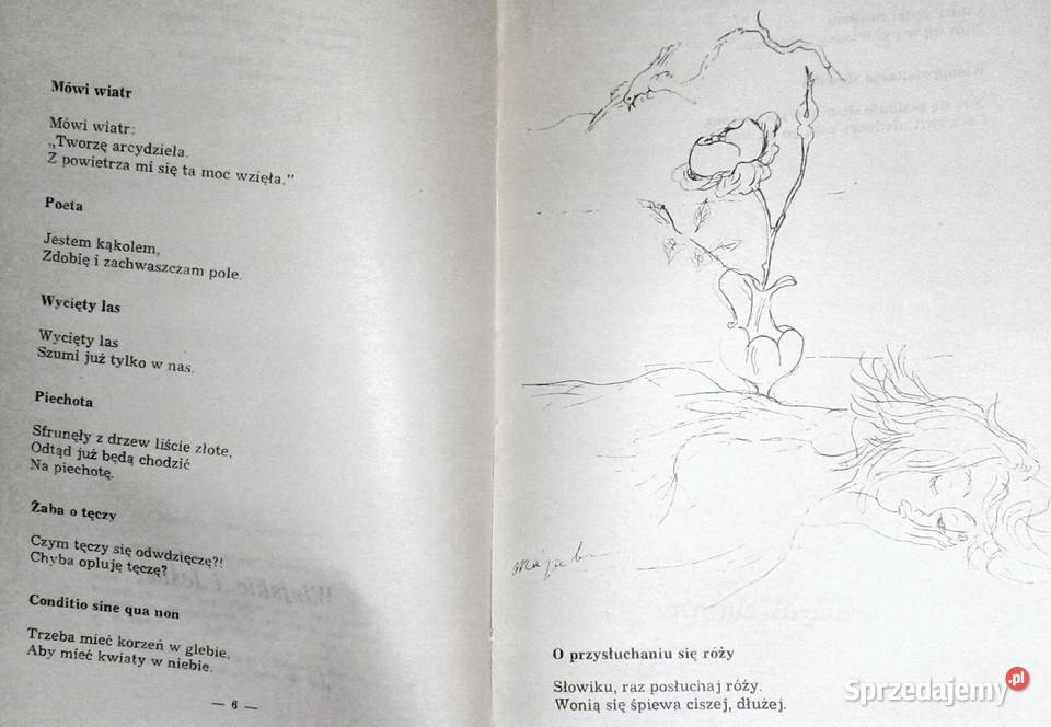 Śmiesznoty Jan Izydor Sztaudynger Rok wydania 1968 Chełm