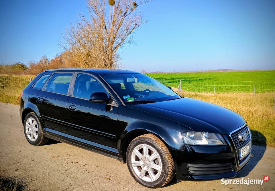 Audi A3 TDI Klima Grzane fotele Nowe Opony zachodniopomorskie Stargard sprzedam