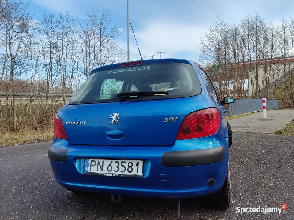 Peugeot 307 16 Lpg Konin