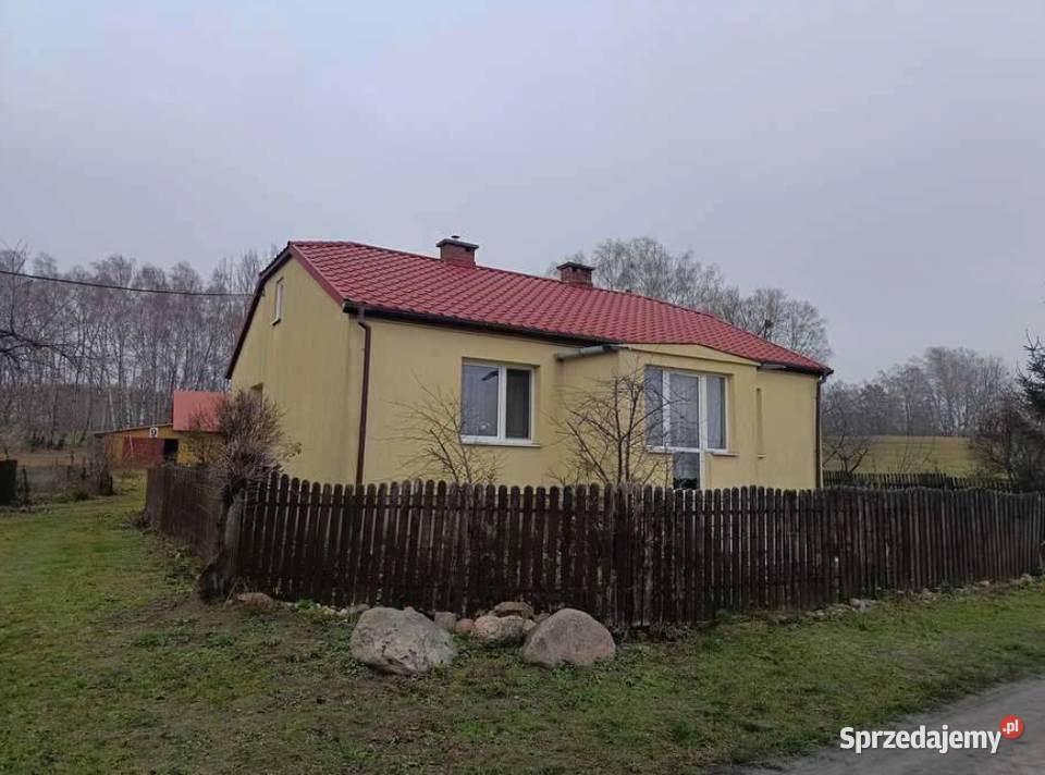 Bachus 9 Gospodarstwo 906 ha z budynkami