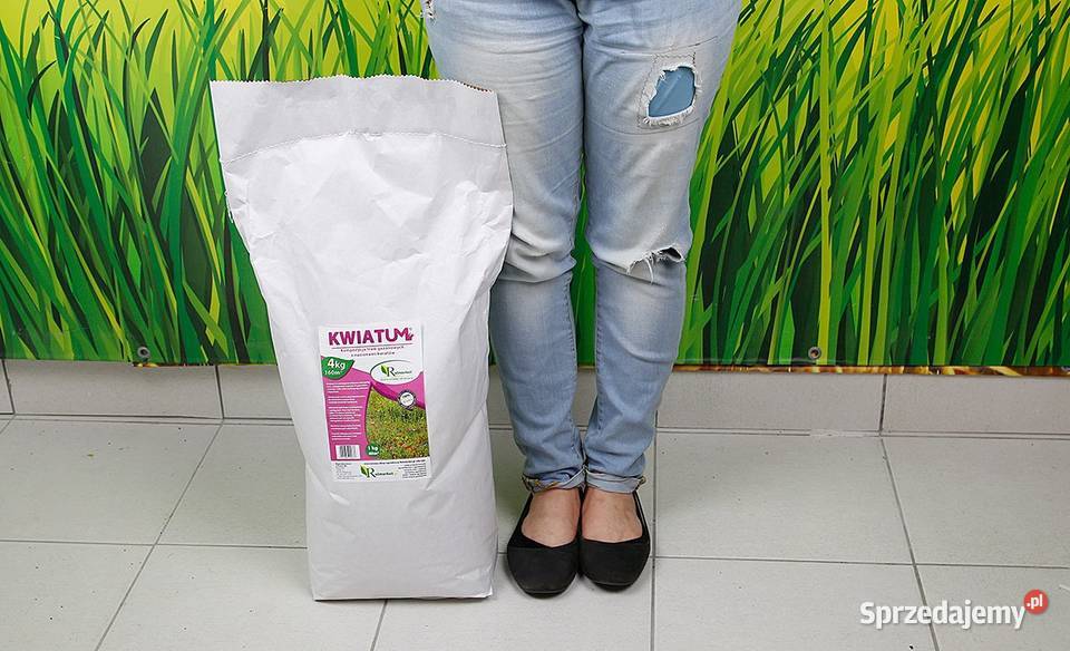 KWIETNA ŁĄKA NA TRAWNIK mix miododajna kwiatowa Pozostałe mazowieckie Cieśle sprzedam