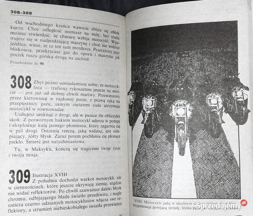 Wojownik autostrady 3 Joe Dever Chełm