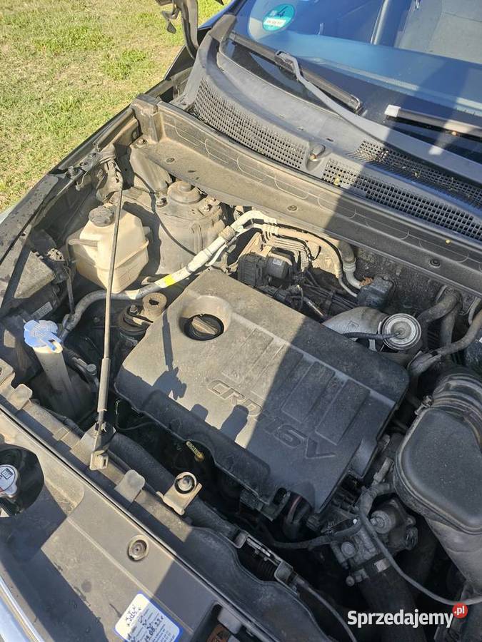 Kia sportage Bukowice