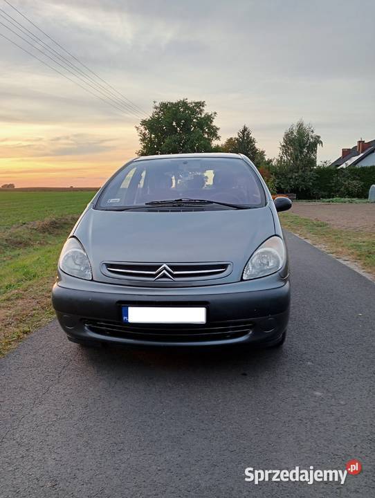 Citroen Xsara Picasso 20 HDI stary ale jary 4/5 Moraczewo sprzedam