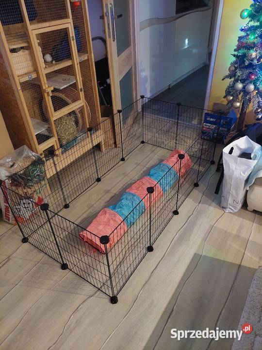 Kojec gryzoni klatka królika świnki morskiej DIY Gryzonie Międzychód