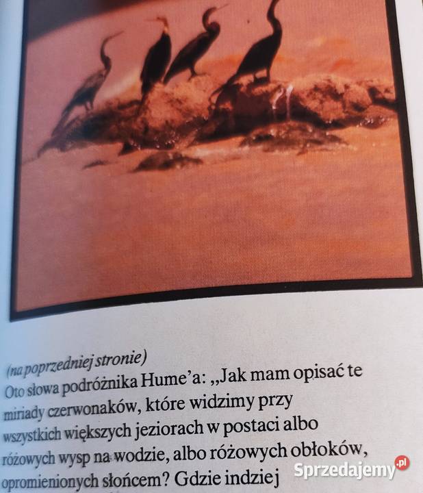 Album Lew nie jest królem zwierząt przyroda, krajobrazy Gdańsk