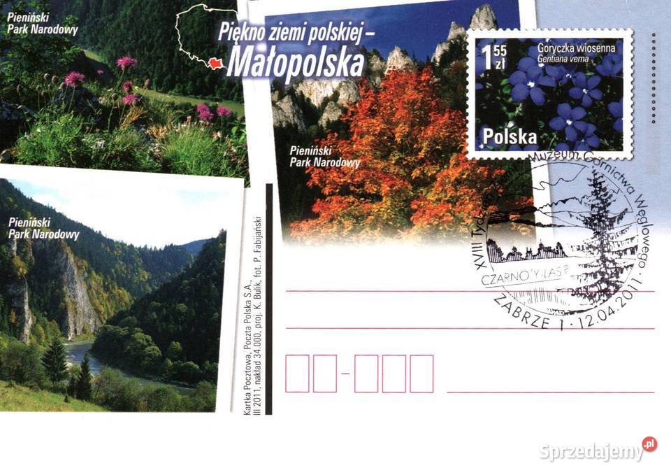 Całostki karty pocztowe 2011r wielkopolskie Konin sprzedam