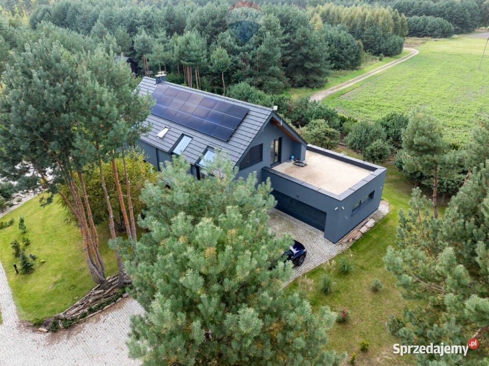 Wyjątkowa posiadłość w Wilkowyi koło Jarocina Sprzedaż Wilkowyja