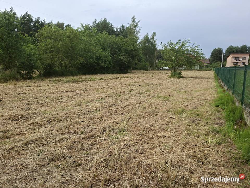 Działka rekreacyjna 09 ha ChrzanówBorowiec Wynajem Chrzanów
