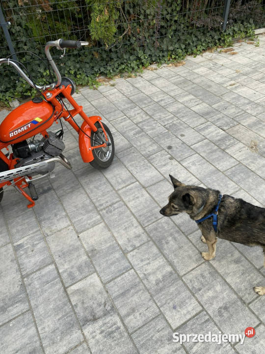 Romet inny Motorynka Polski Harley ubogich Poznań