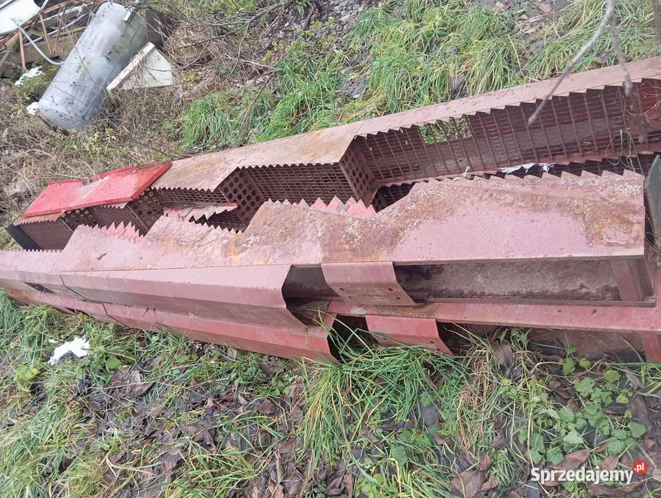 Klawisze bizon lubelskie Izbica