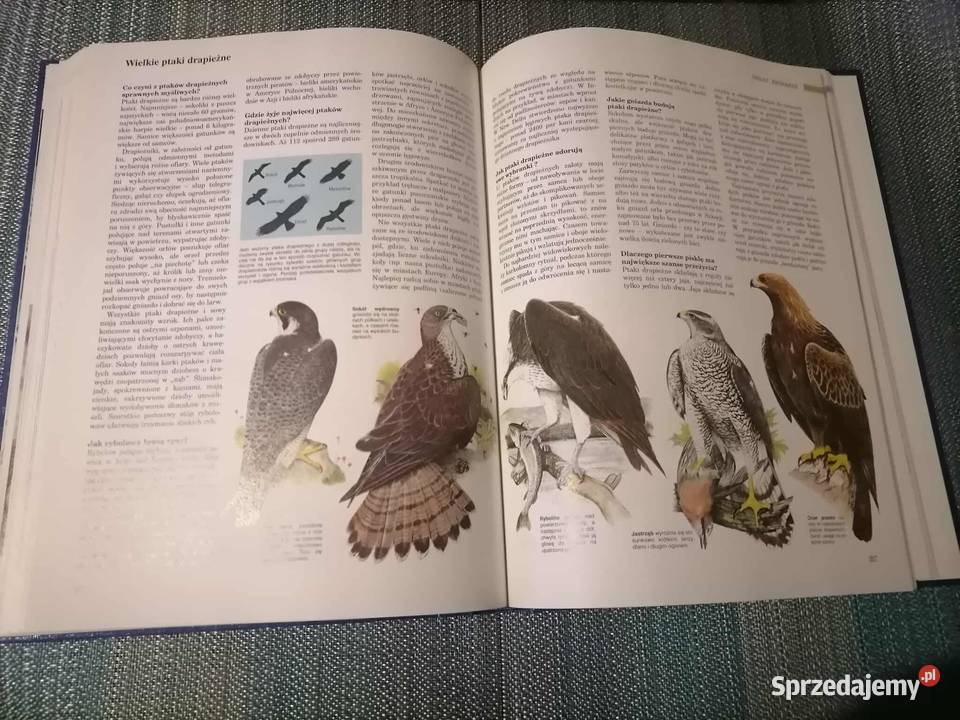 ABC Przyrody encyklopedie, słowniki, leksykony Wałbrzych