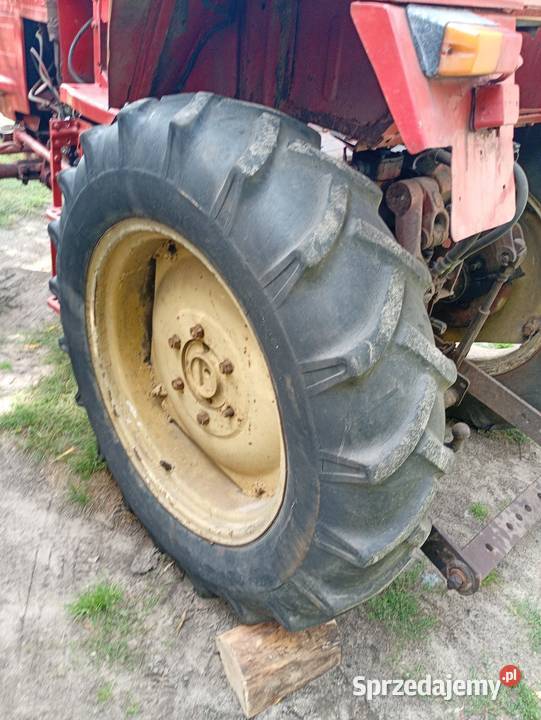 Władimirec rusek t25 Udrzynek sprzedam