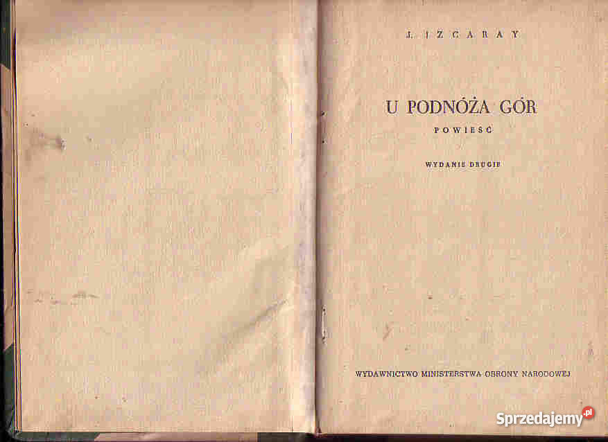 4544 U PODNÓŻA GÓR J IZCARAY Czyrna sprzedam