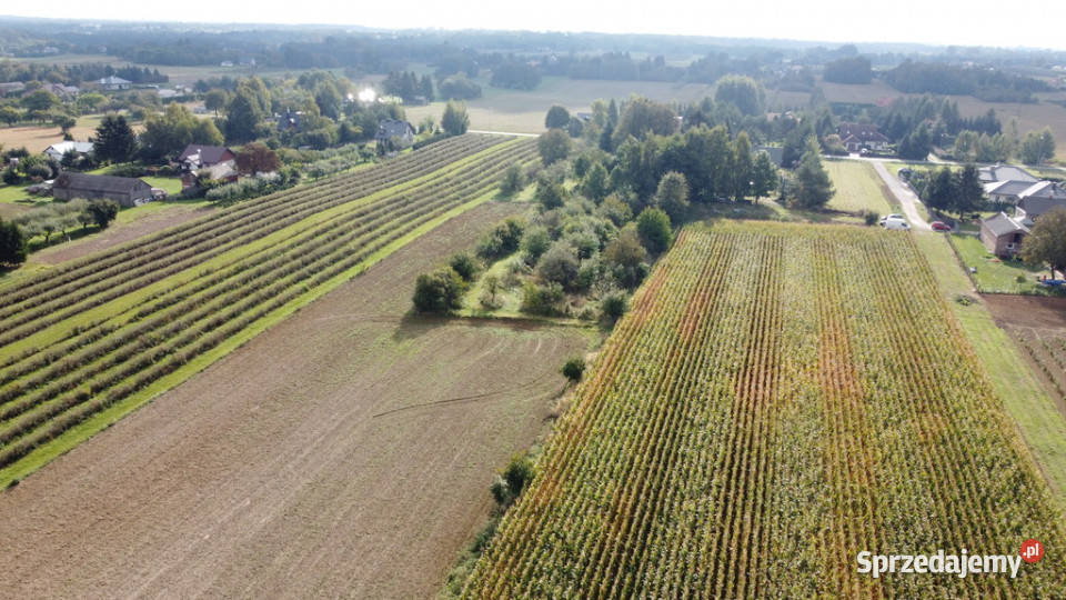 Działka Motycz 13 ar budownictwo jednorodzinne lubelskie