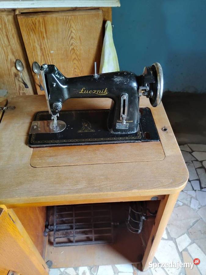 Maszy Łucznik Świdnica