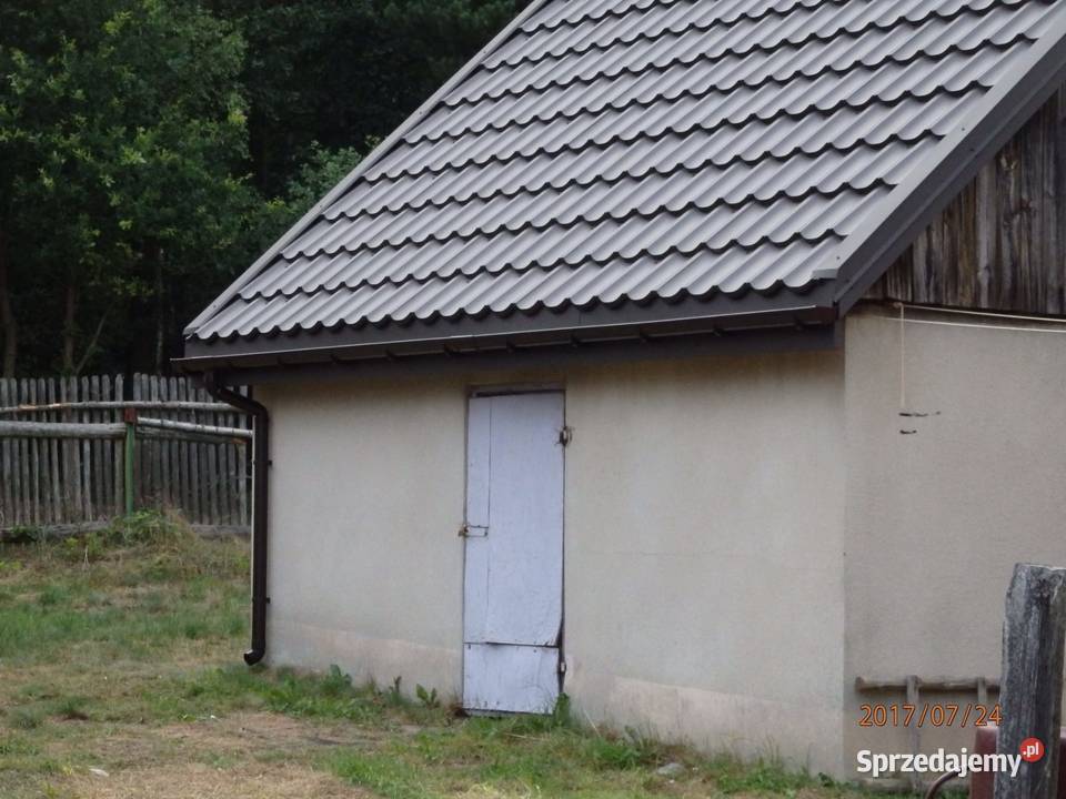 Gospodarstwo rolne z lasem 600m Wielka Wieś