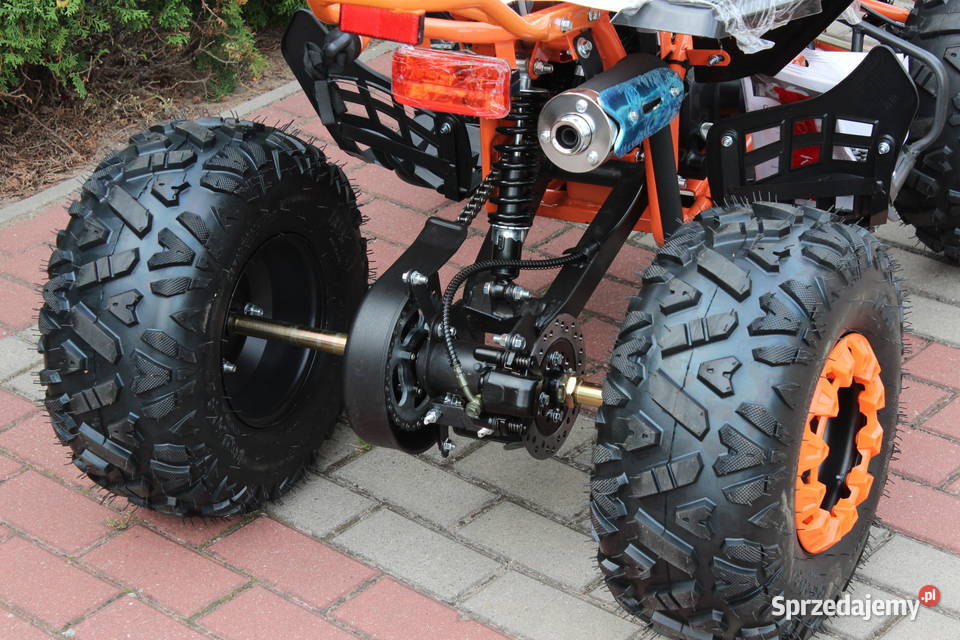 Quad raptor 125 średni 31 dzieci młodzieży Goleniów