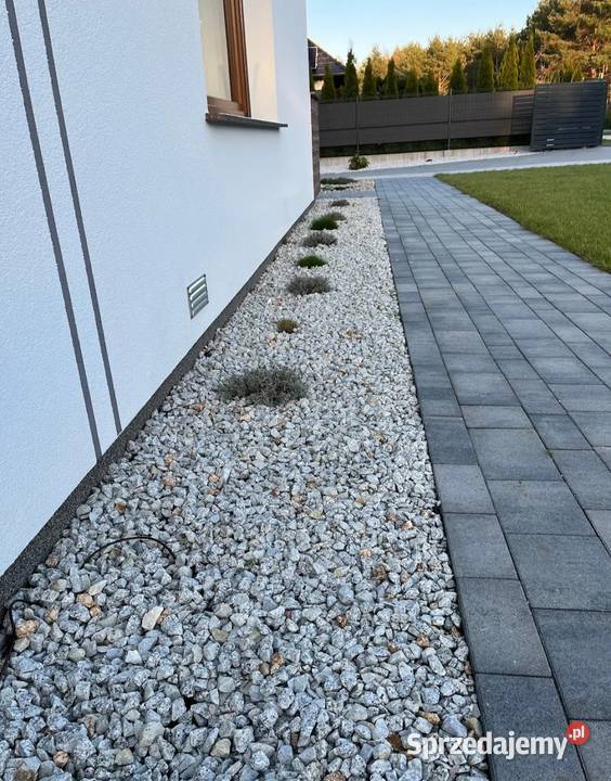 Grys granitowy Dalmatyńczyk Słone sprzedam
