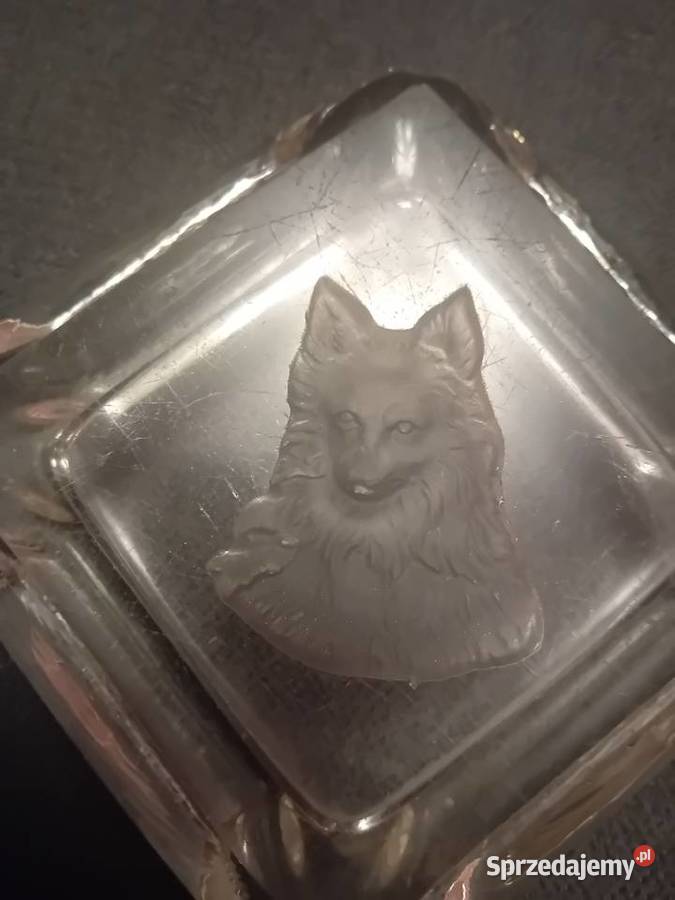 Popielniczka z wizerunkiem owczarka niemieckiego wielkopolskie Koźminek sprzedam