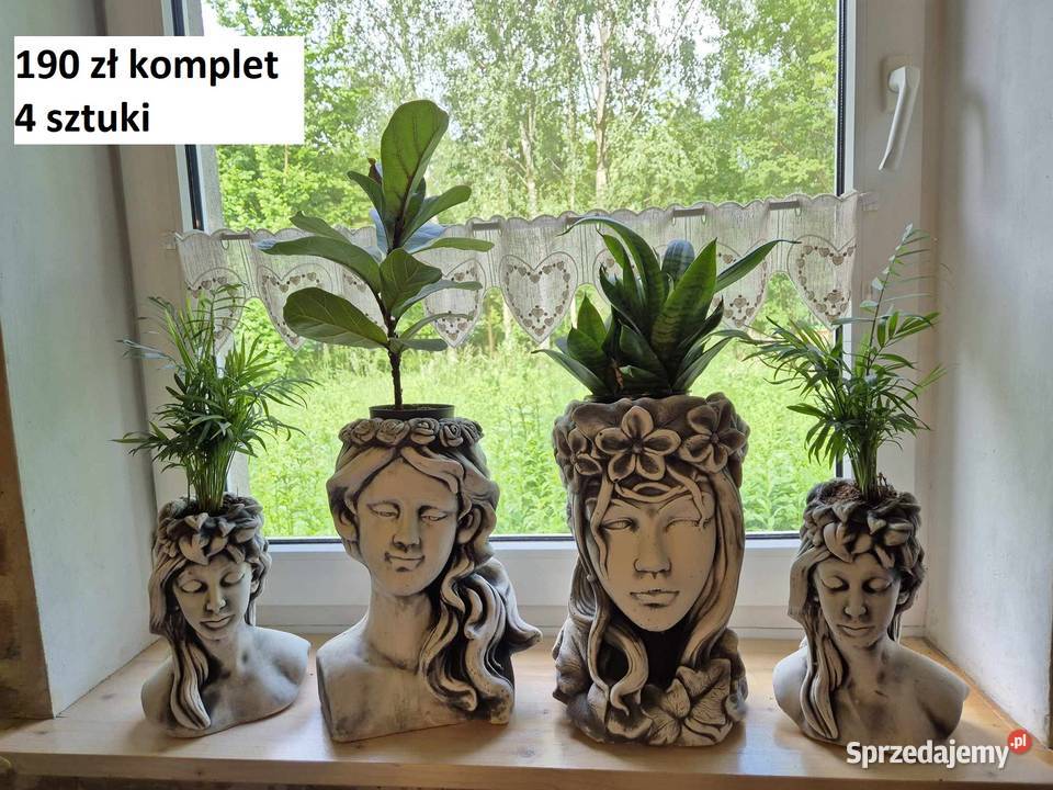 Skrzydła gipsowe skrzydełka z gipsu dekoracja Wrocław