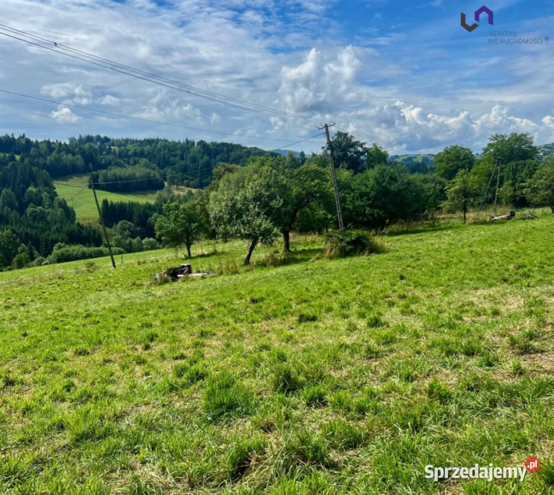 Grunt 1154m2 Jaworzynka Sprzedaż sprzedam
